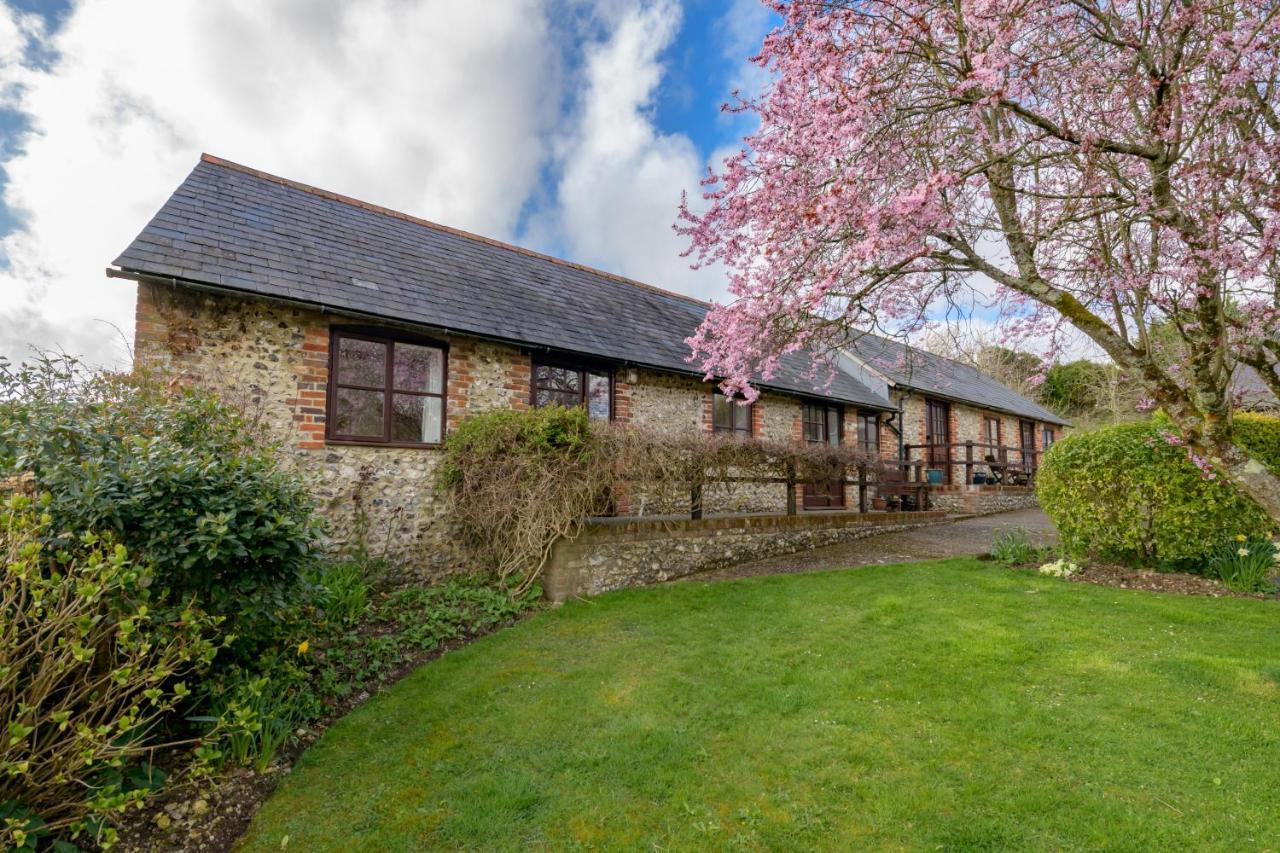 Luccombe Farm Holiday Cottages Milton Abbas المظهر الخارجي الصورة