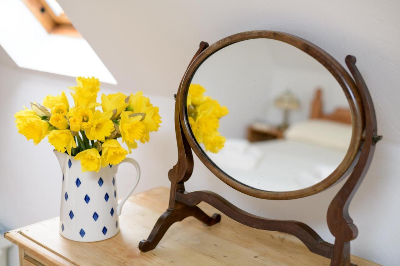 Luccombe Farm Holiday Cottages Milton Abbas المظهر الخارجي الصورة