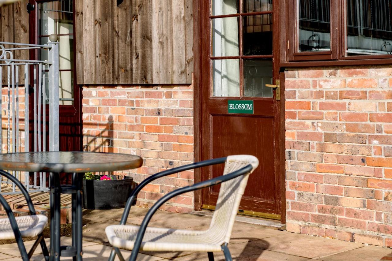 Luccombe Farm Holiday Cottages Milton Abbas المظهر الخارجي الصورة