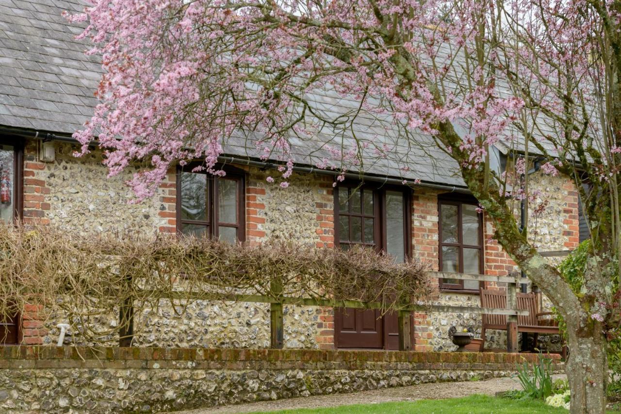Luccombe Farm Holiday Cottages Milton Abbas المظهر الخارجي الصورة
