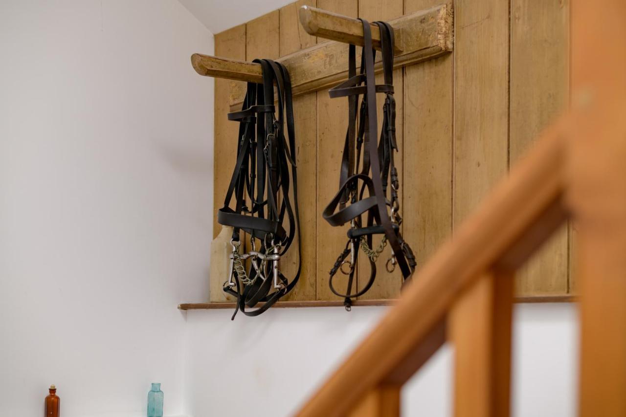 Luccombe Farm Holiday Cottages Milton Abbas المظهر الخارجي الصورة