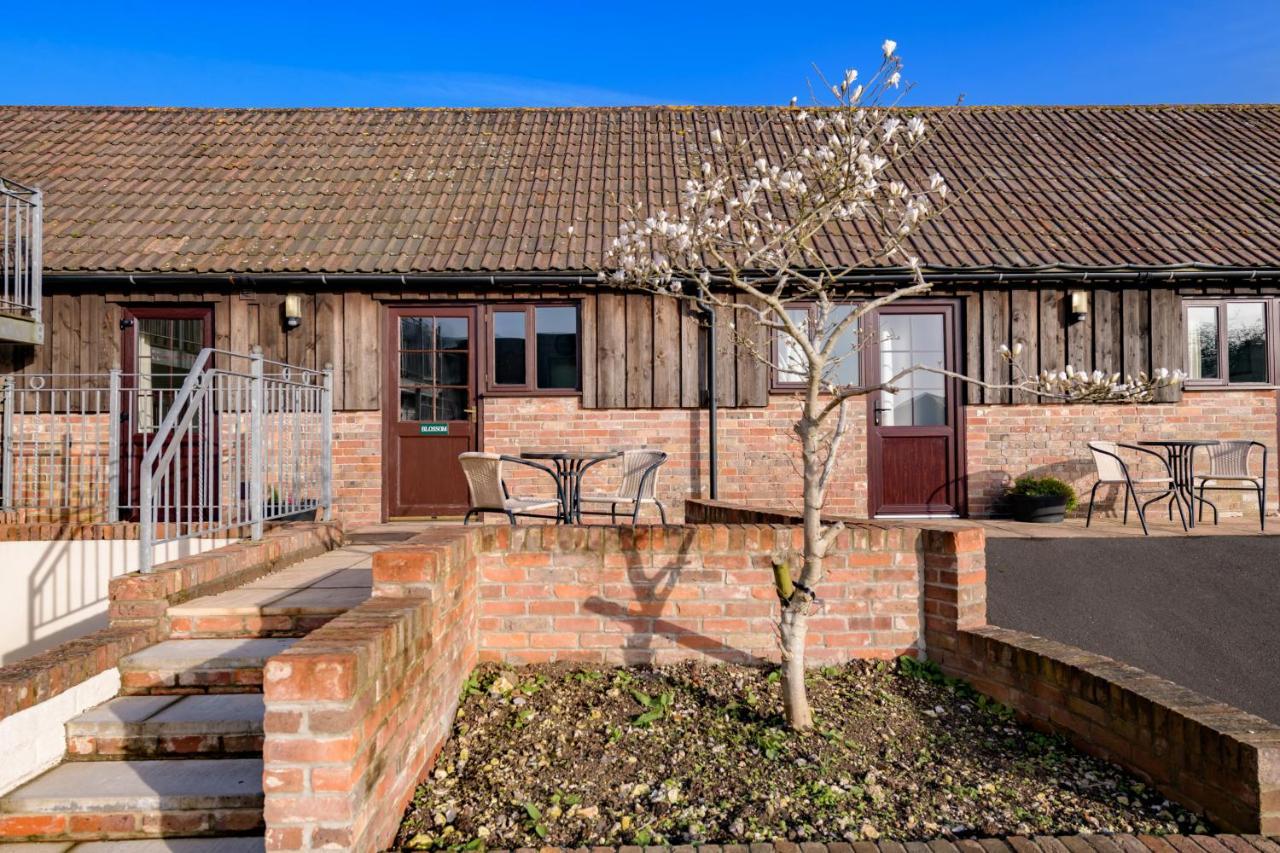 Luccombe Farm Holiday Cottages Milton Abbas المظهر الخارجي الصورة
