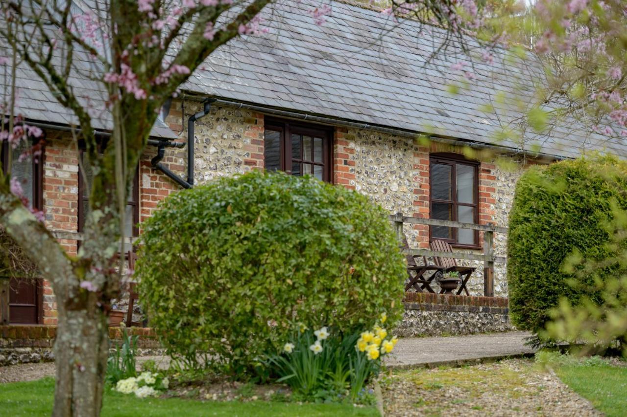 Luccombe Farm Holiday Cottages Milton Abbas المظهر الخارجي الصورة