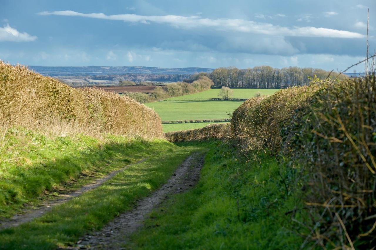 Luccombe Farm Holiday Cottages Milton Abbas المظهر الخارجي الصورة