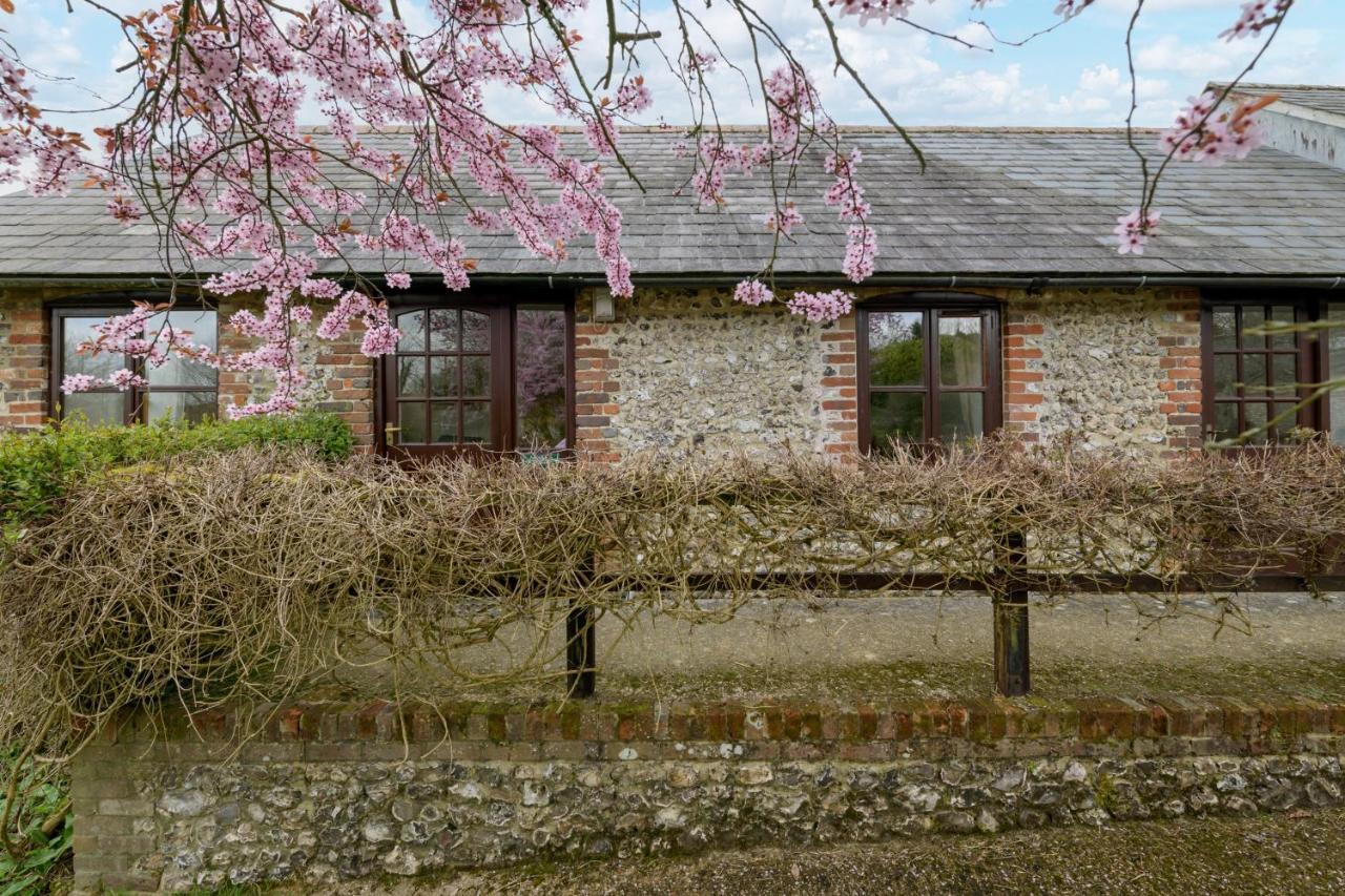 Luccombe Farm Holiday Cottages Milton Abbas المظهر الخارجي الصورة